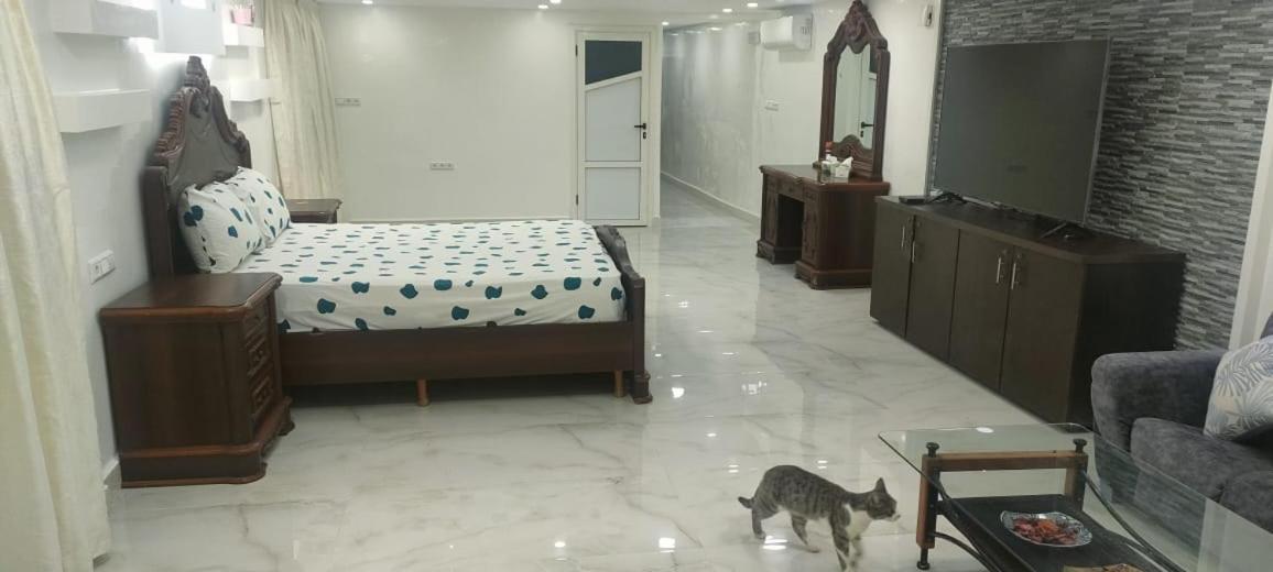 Safi Vacances Ngoại thất bức ảnh